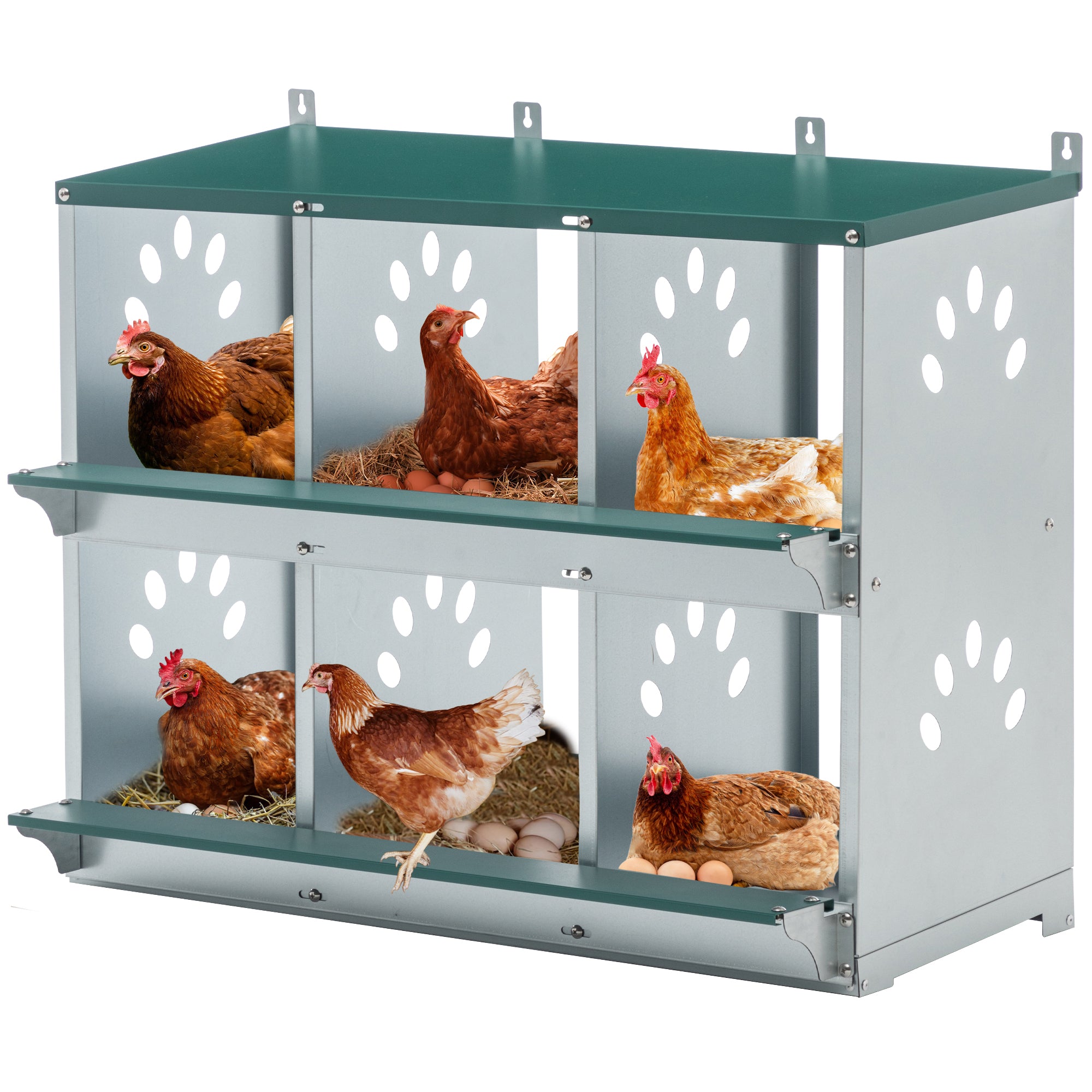 JXXRZ 6-Compartment Metal Chicken Nesting Box - Galvanized Steel Wall-Mounted Rust-Resistant Egg-Laying Hen Coop