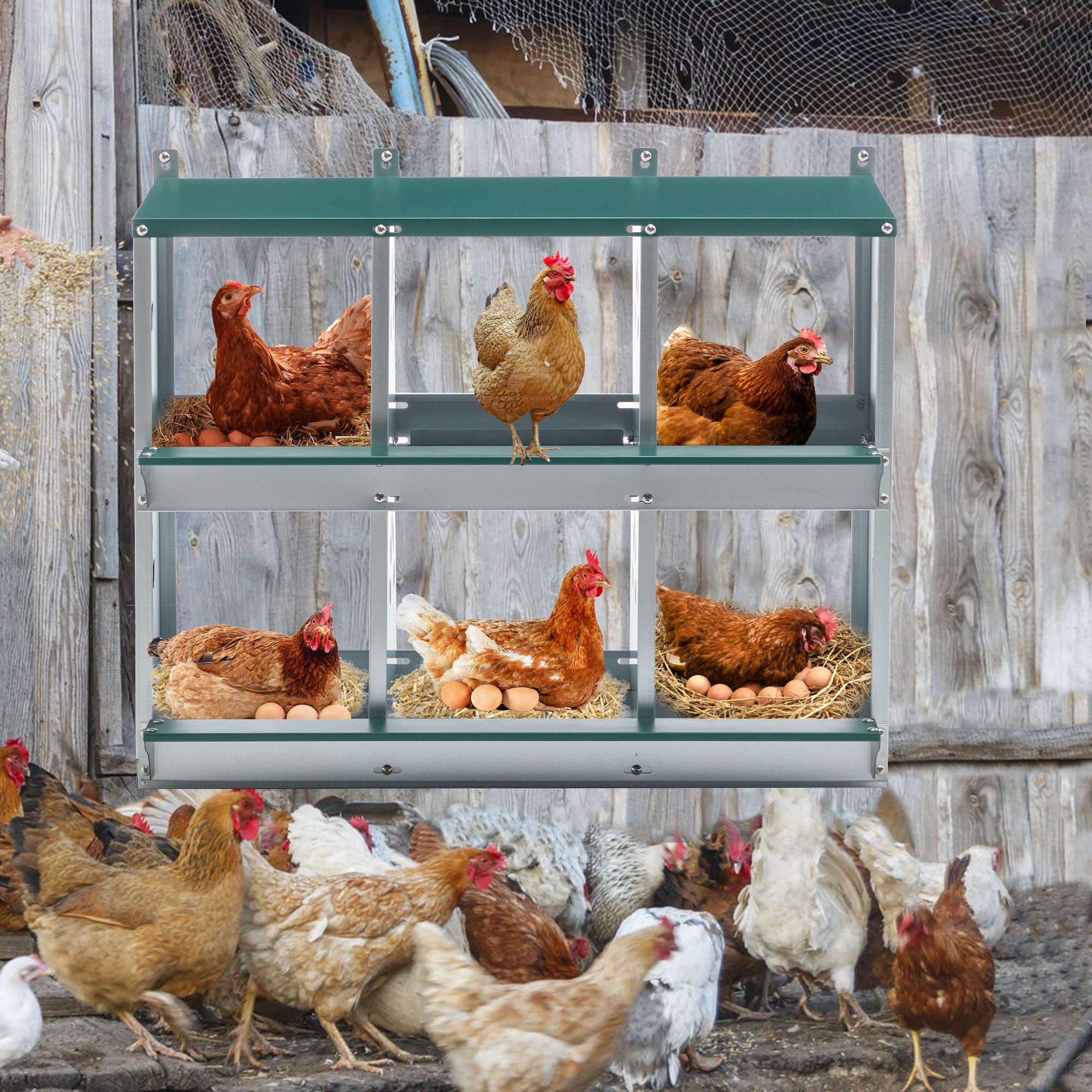 JXXRZ 6-Compartment Metal Chicken Nesting Box - Galvanized Steel Wall-Mounted Rust-Resistant Egg-Laying Hen Coop