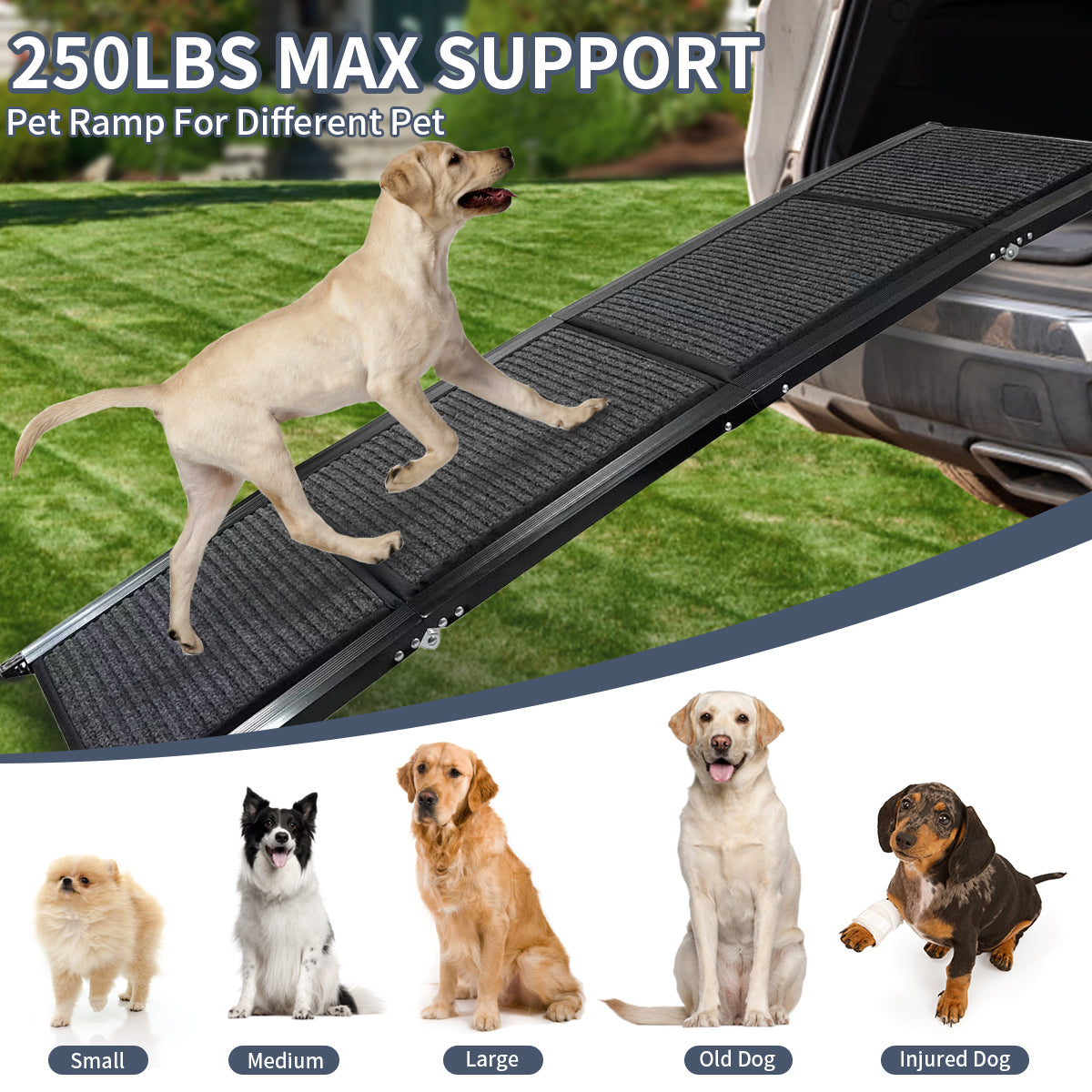 JXXRZ Foldable Dog Ramp for Cars, Trucks & Beds - 63" Non-Slip Pet Ramp Supports 250lbs - Portable Stairs for Large Dogs